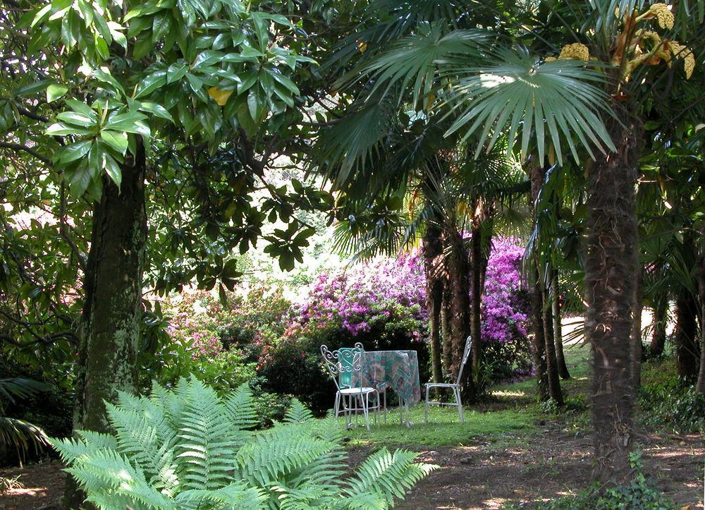 Du Parc Hotel Lake Maggiore Bagian luar foto
