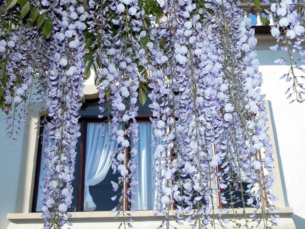 Du Parc Hotel Lake Maggiore Bagian luar foto