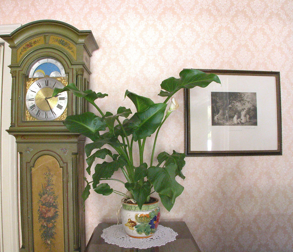 Du Parc Hotel Lake Maggiore Bagian luar foto